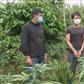 Đắk Lắk: 2 hộ dân trồng trái phép 616 cây cần sa